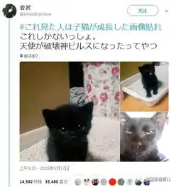 测试一个超长简介的文章