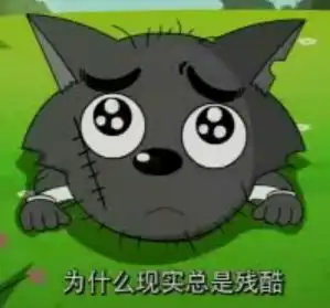北京四中网校互帮互学