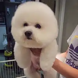 测试一个超长简介的文章