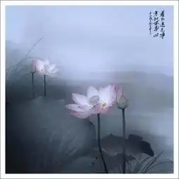 31句销售技巧,句句经典