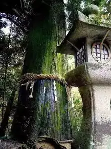 庭院石灯笼