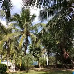 测试一个超长简介的文章