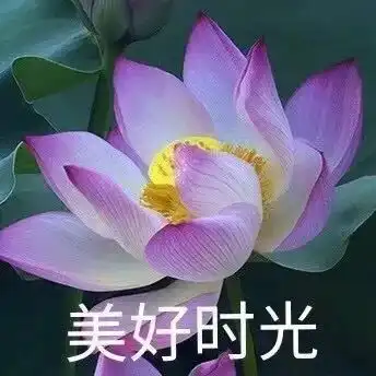e句话看天下第40届香港电影金像奖,影帝谢贤