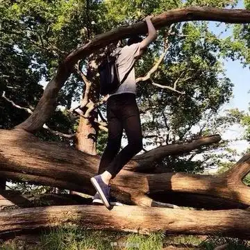 测试一个超长简介的文章