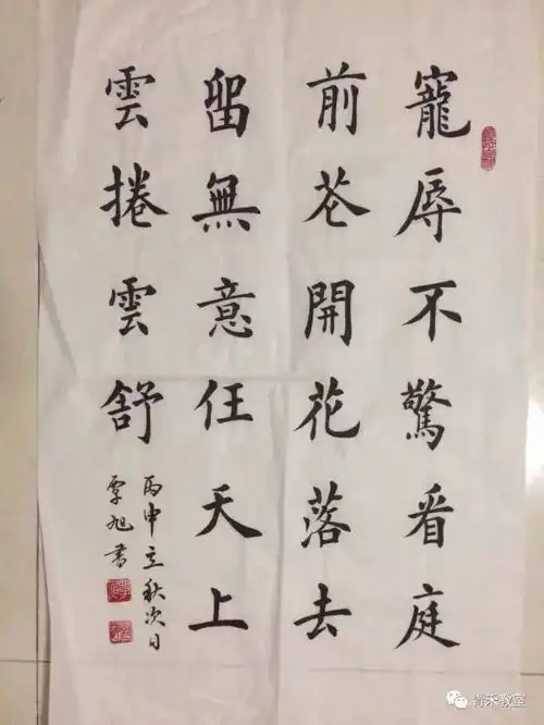 青禾硬笔书法免费公开课,书写漂亮人生
