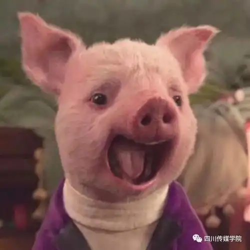 探班播音生的日常生活愿每一个努力的你都闪闪发光