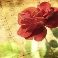 测试一个超长简介的文章