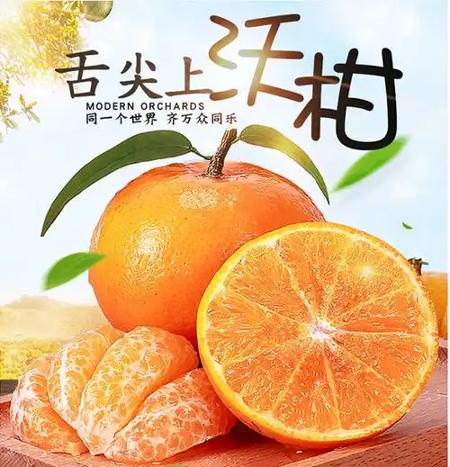 正宗广西武鸣沃柑橘子新鲜水果桔子沃甘现摘橘子