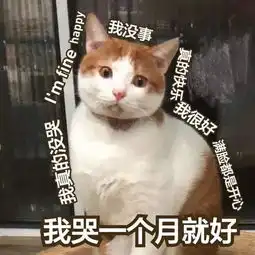 hebe被催婚回怼都什么年代了,网友怒赞明星应对催婚个个高手