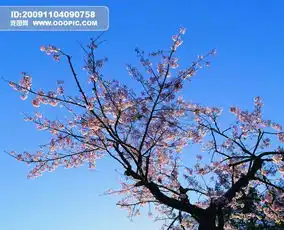 春暖花开