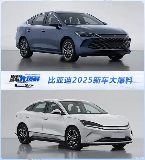 比亚迪2025新车大爆料新款秦plus秦lev海鸥等纯电续航破千