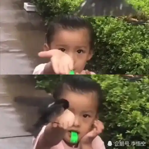 李悟空醒思录二能和动物和谐相处的人,应该就是人间的天使