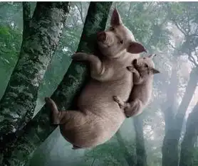 测试一个超长简介的文章