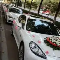 婚车车队头像结婚婚车车队头像