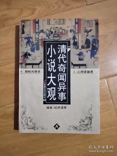 清代奇闻异事小说大观a卷