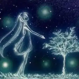 测试一个超长简介的文章