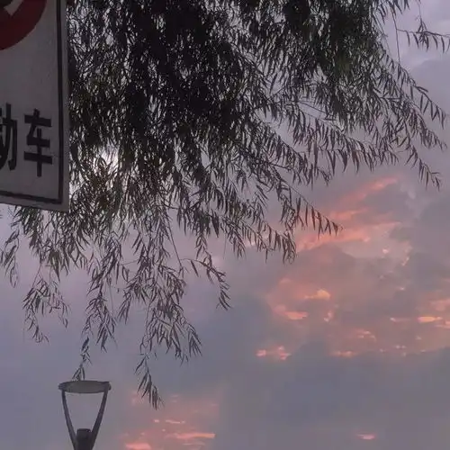 患有选择困难症的三大星座