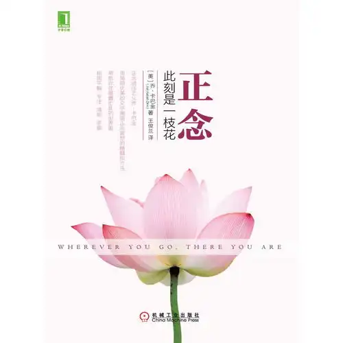 正念此刻是一枝花书籍