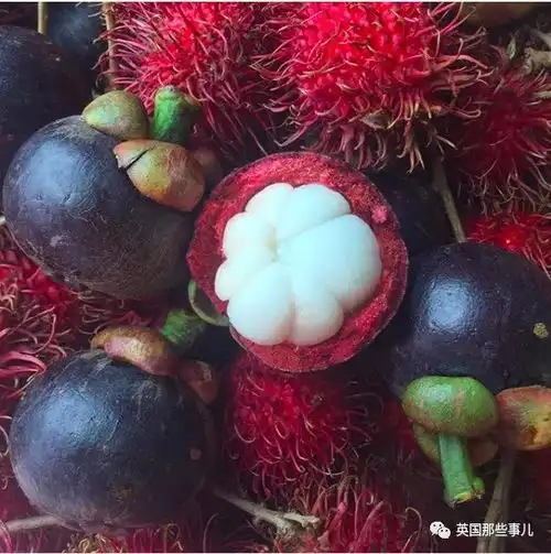 三年里,这对情侣餐餐只吃水果只是这变化,有人欣赏有人担忧果食主义者