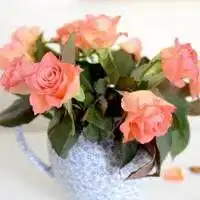花朵遮五官情侣头像微信头像图片大全