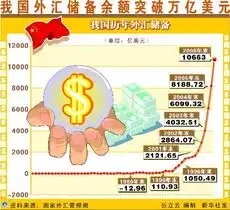 高额外汇储备之下既要缓解压力又要增加效益
