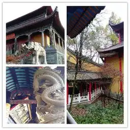 测试一个超长简介的文章