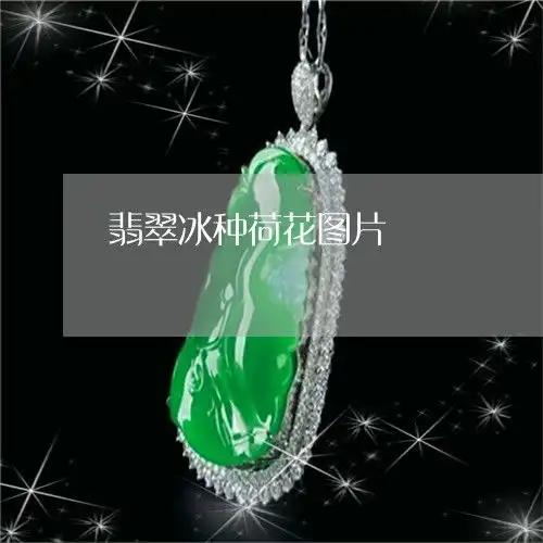 给大家科普下翡翠冰种荷花图片翡翠冰种值钱吗明日翡翠栏目