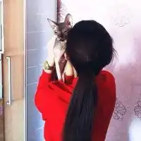 测试一个超长简介的文章