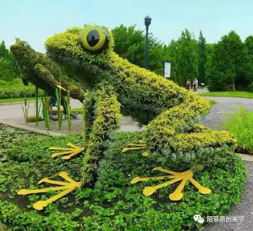 植物还可以这样玩儿
