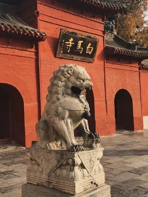天上宫阙老君山太行山精华云台山神都洛阳龙门石窟白马寺,5日4晚精品小团