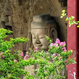 邓亚萍对巩义文化体育旅游产业进行考察和指导组图