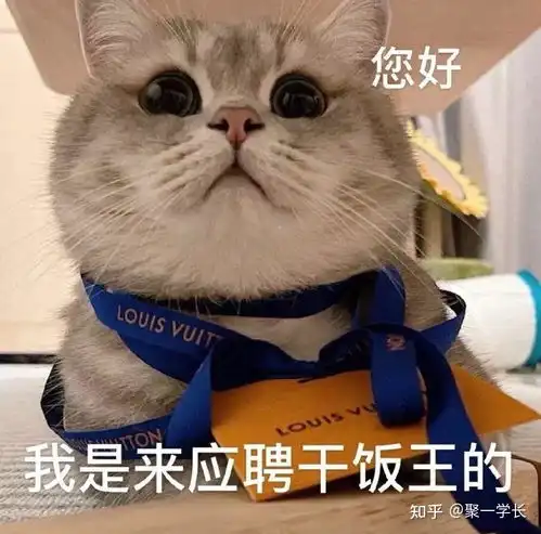 有用过随身wifi的兄弟吗我马上要买一个了可是怕翻车,有买过用过的兄弟推荐吗