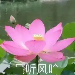 成熟稳重的头像
