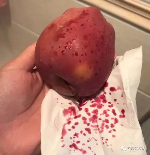 热开水泡过的苹果冒血珠是什么情况