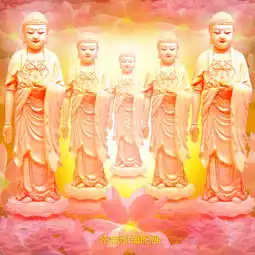 净空法师我眼睛所看的全是阿弥陀佛