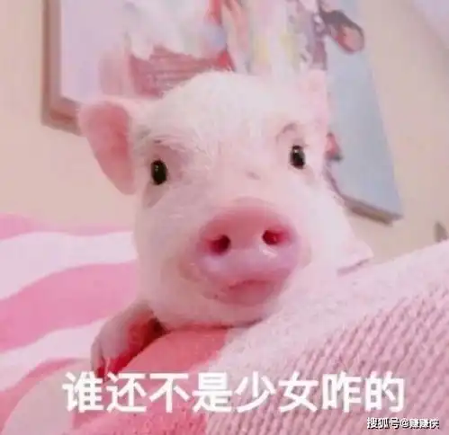 最新表情包图片我是一只莫得感情的猫,我超开心