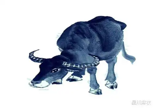 春节过后心想事成欢欢喜喜,招财致富生肖,找到人生方向一旺到底