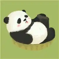 小熊猫头像图片微信头像图片大全