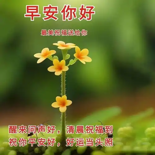 30张最新版早上好表情图片大全,幸福快乐,真情牵挂,珍惜永久早安思念大海钟声网易订阅