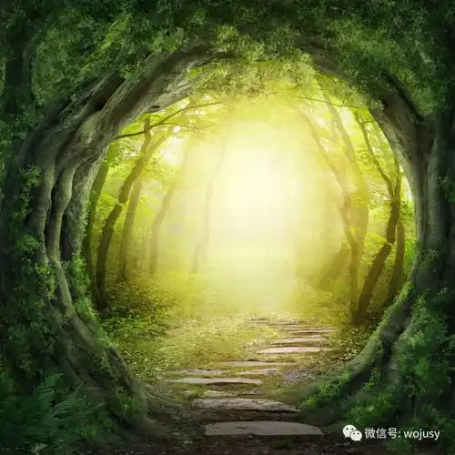 测试一个超长简介的文章