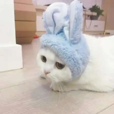 测试一个超长简介的文章