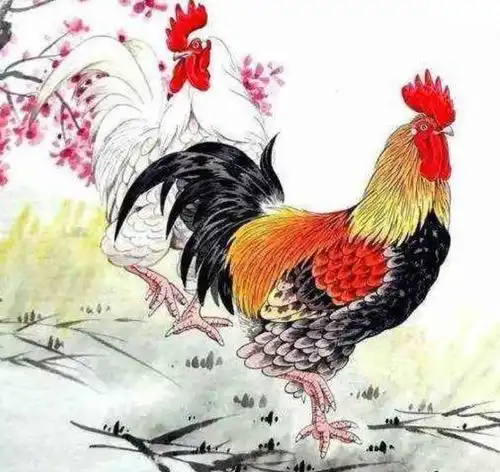 测试一个超长简介的文章