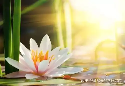 相由心生你的脸,就是你的命运深度好文