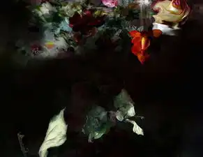 isabellemenin富丽堂皇的花卉摄影艺术
