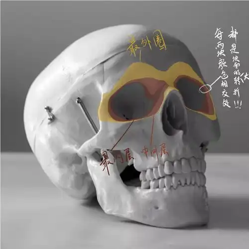 超强干货手把手教你画出联考高分头像