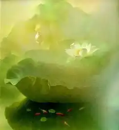 仓央嘉措我终于明白太美了