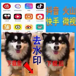 抖音快手火山微视视频去水印无软件去除logo短视频高清无痕