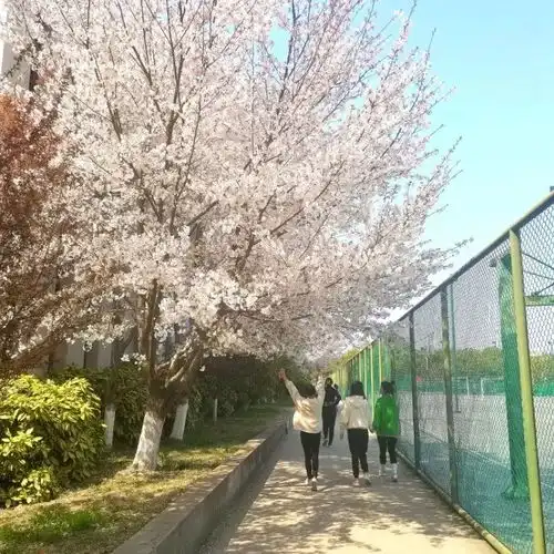2020河北美术学院有哪些艺术专业