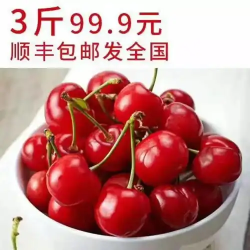 晶莹剔透大红樱桃,现摘现发,顺丰航空发全国,隔天到