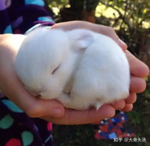 麦粒肿怎么较快恢复是外麦粒肿,刚长起来